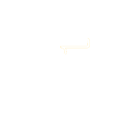 RAM_medal-20