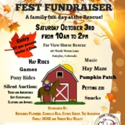 Fall Fest Fundraiser